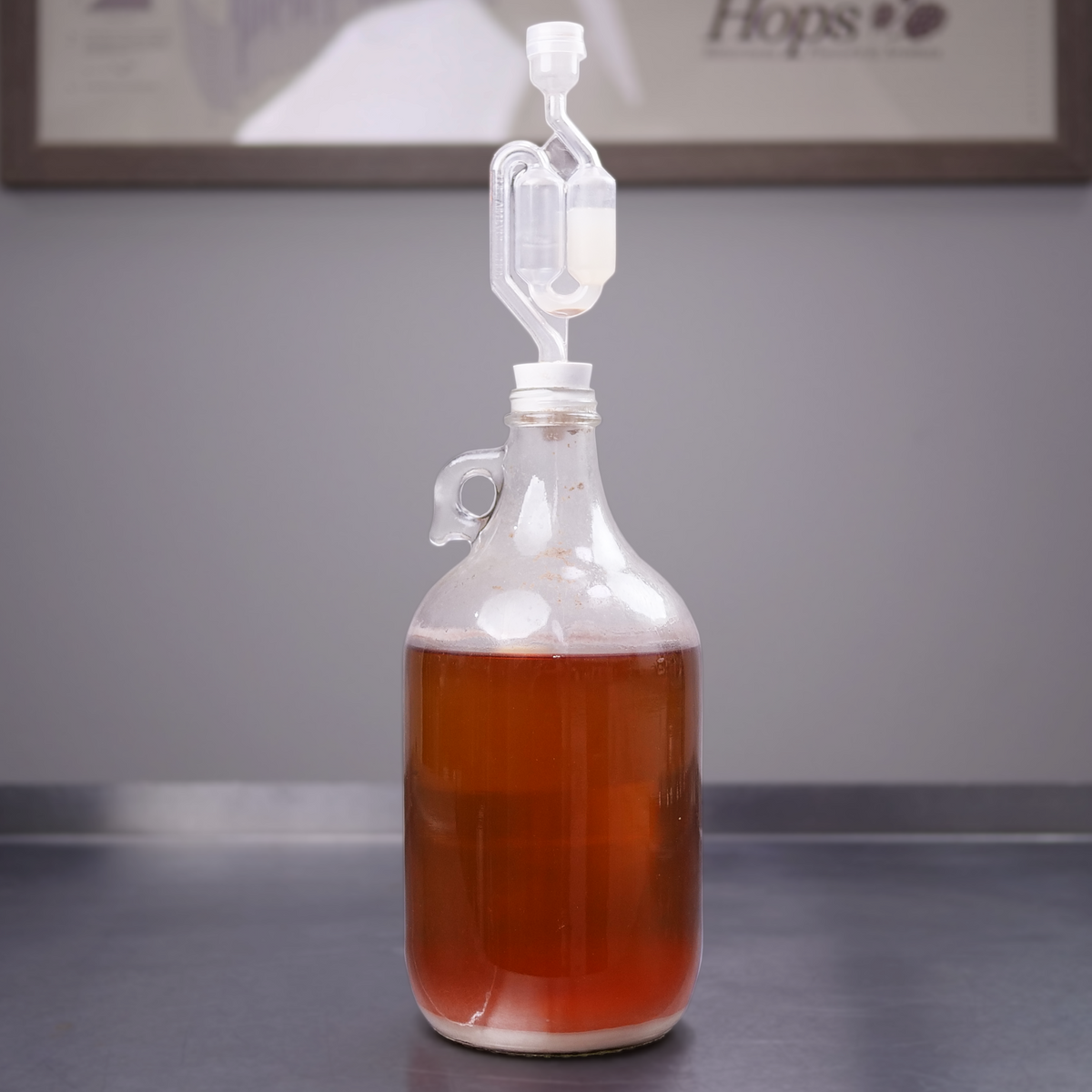 How to Ferment Beer
