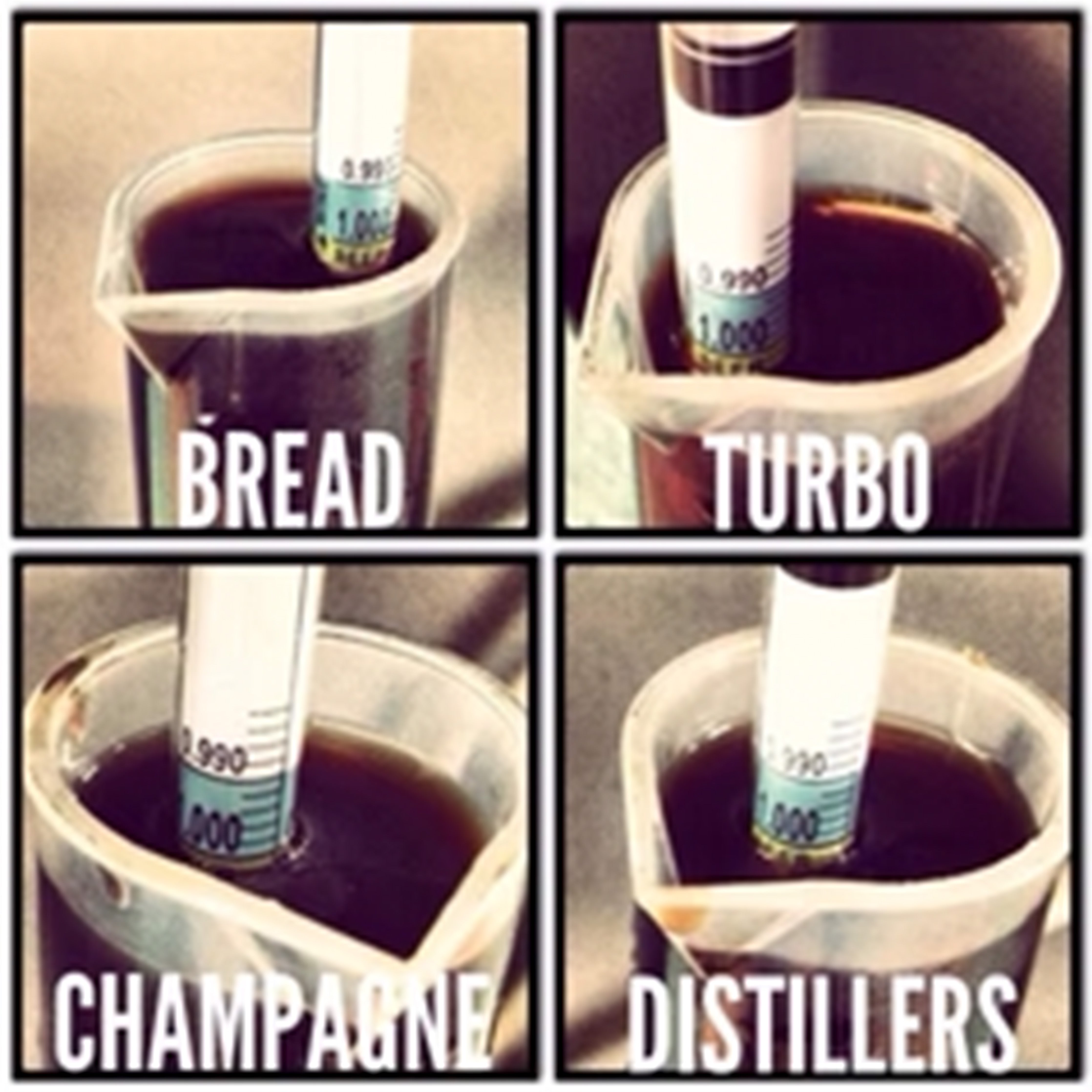 Right Yeast for Your Moonshine