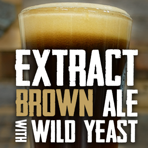 Extract Brown Ale With Wild Yeast