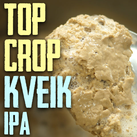 Top Crop Beer: Kveik IPA - 3 Day IPA Part 3