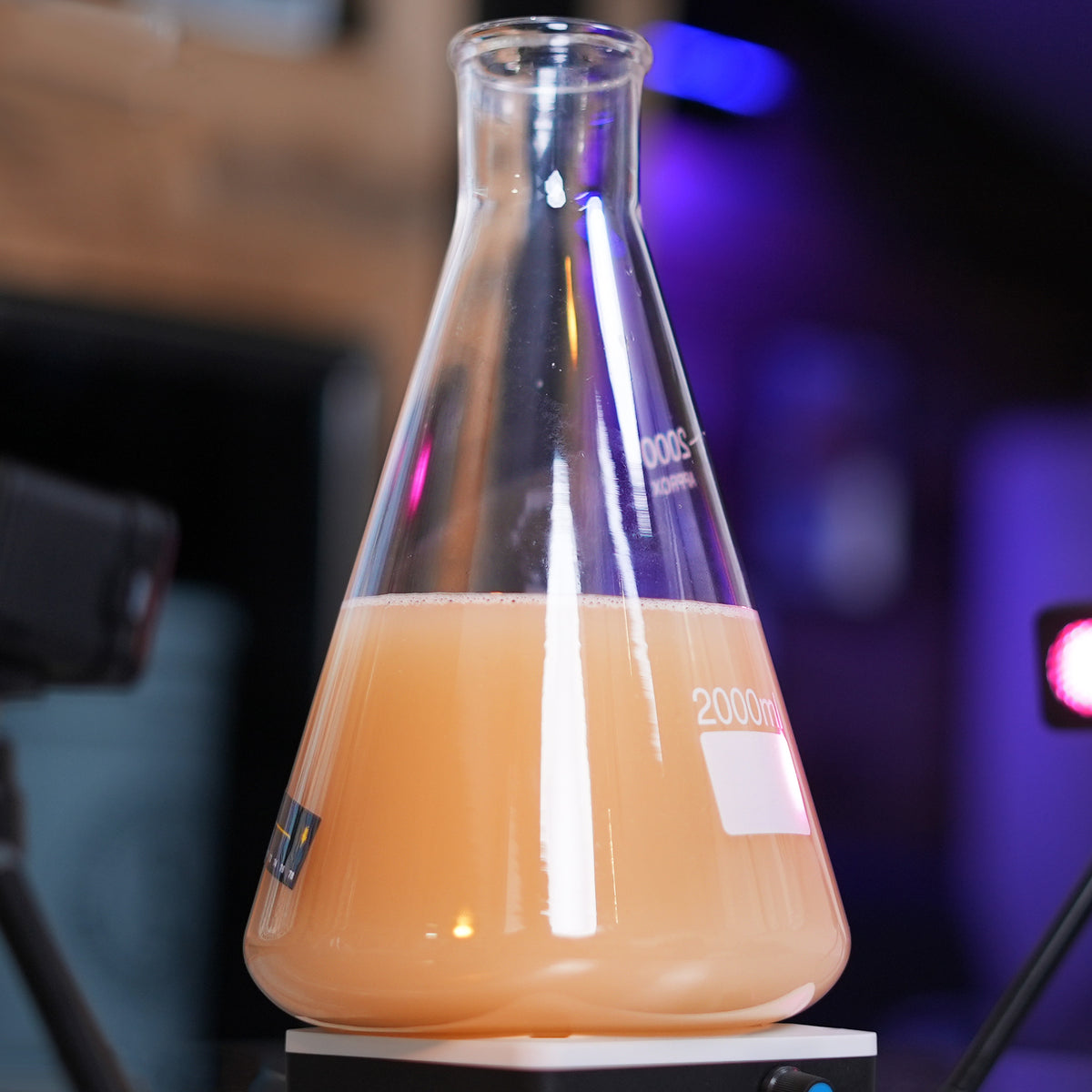 How to Make a Yeast Starter