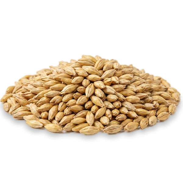 Grain