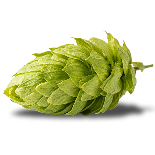 Hops