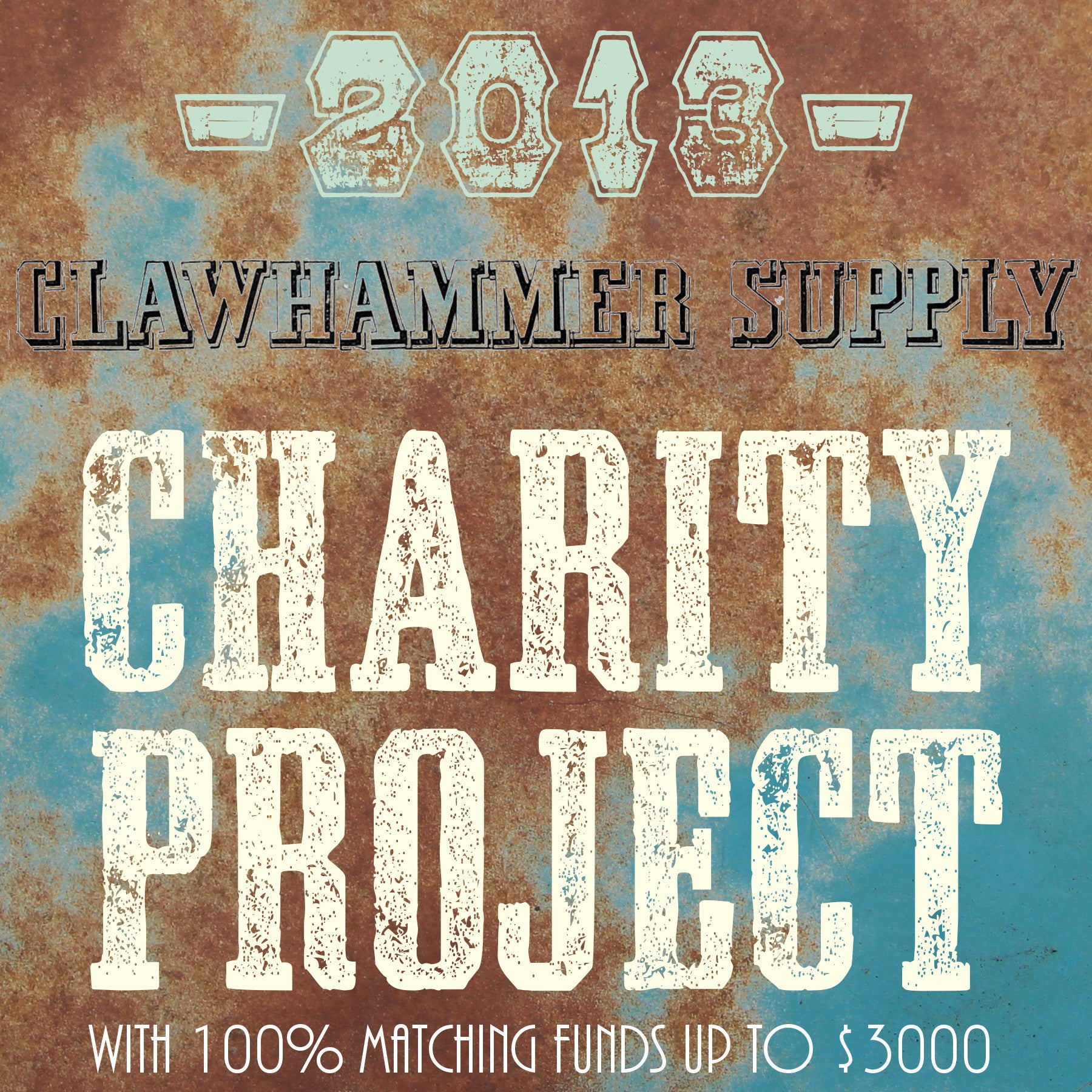 2013 Charity Drive